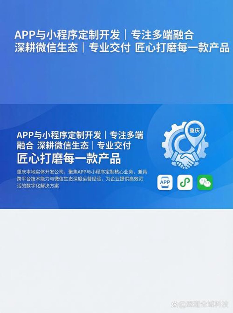 重庆猫崽科技：创新科技推动企业发展