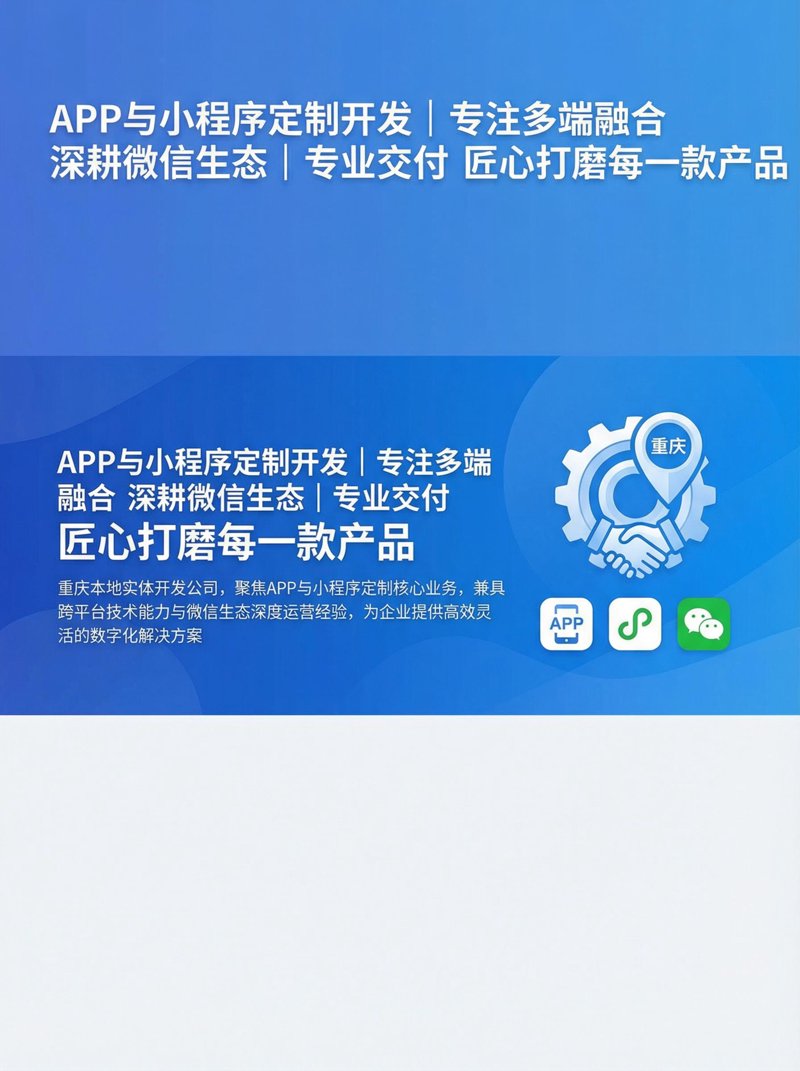 猫崽科技：解锁数字化转型的密码