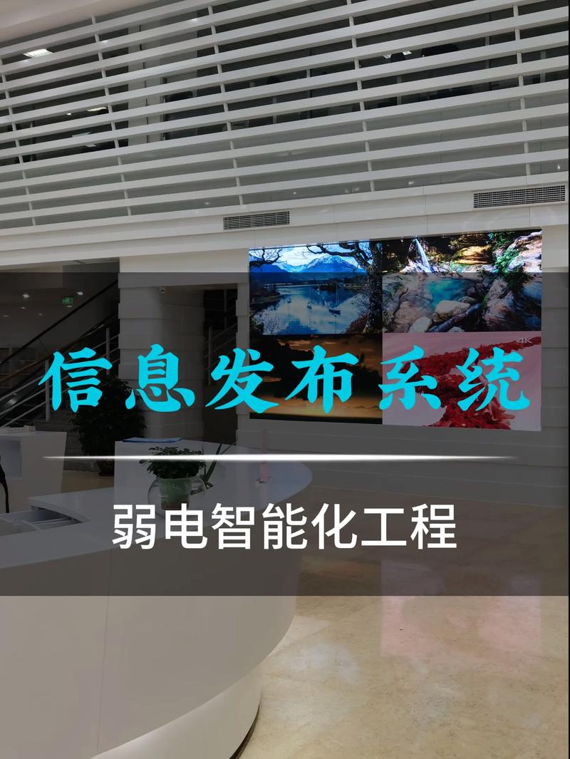 科技之光：猫崽科技引领未来潮流