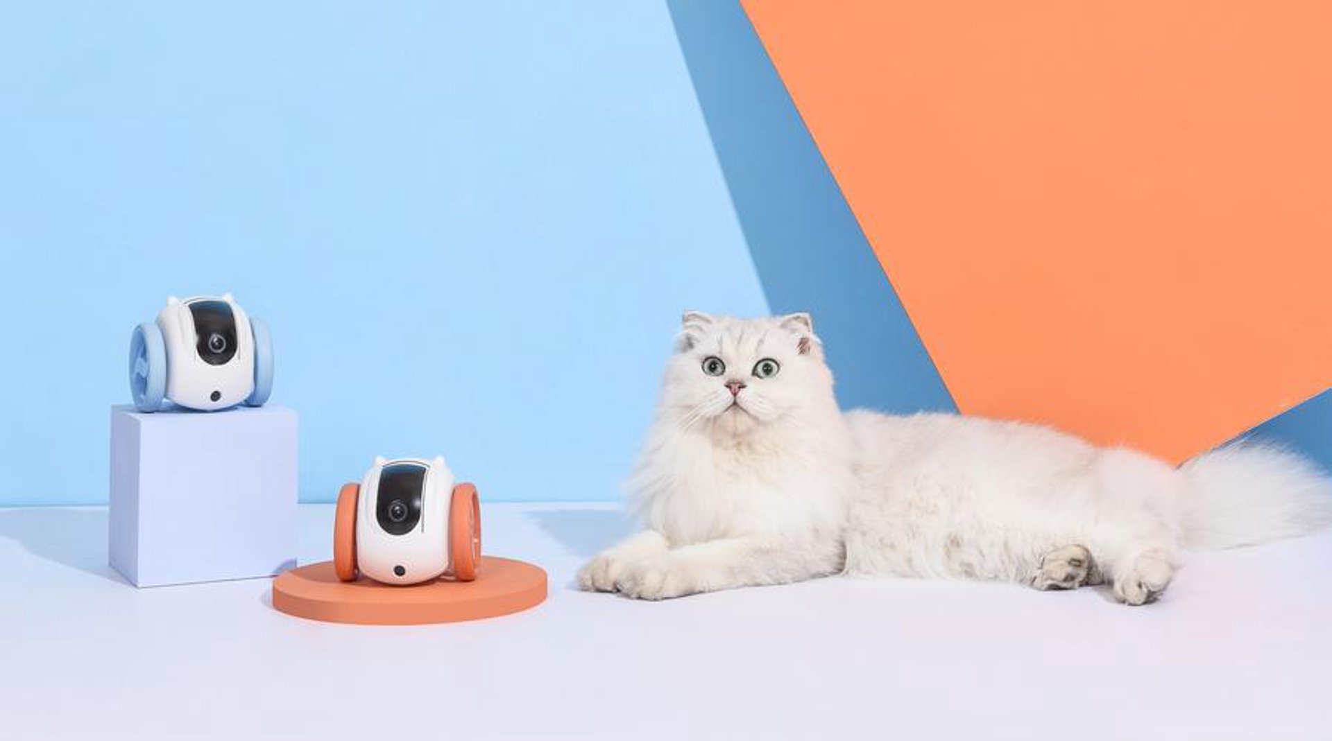 猫崽科技
